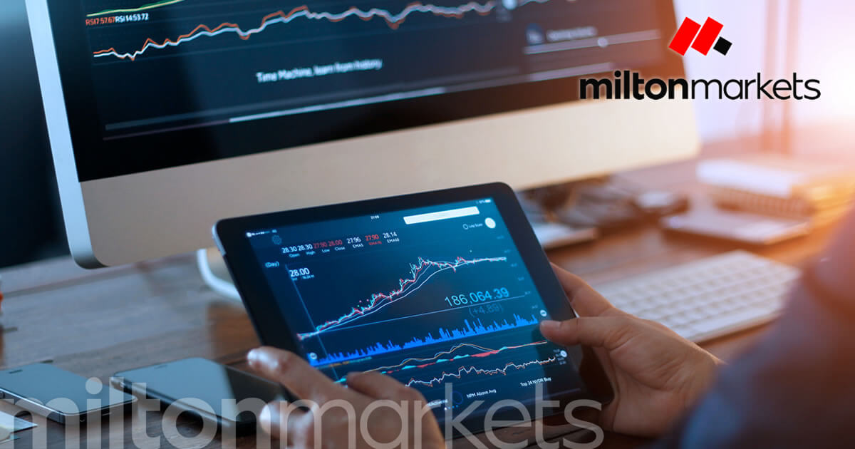 MILTON MARKETS（ミルトン マーケッツ） 口座タイプの種類と特徴 | MILTON MARKETS | FXプラス™