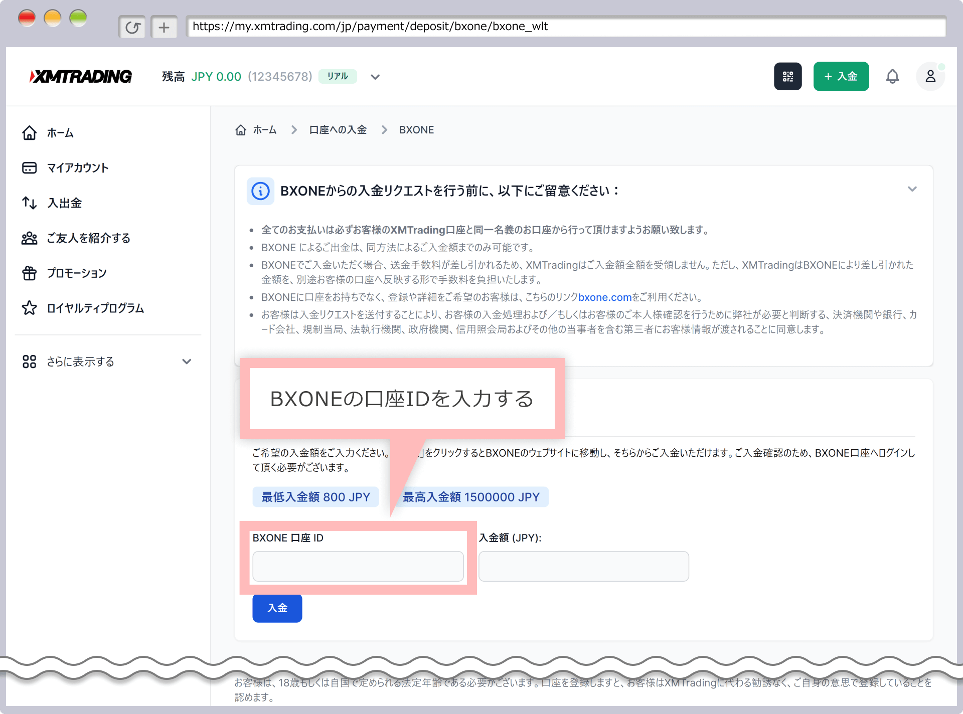 画像5/XM 資金の入金画面（BXONE）