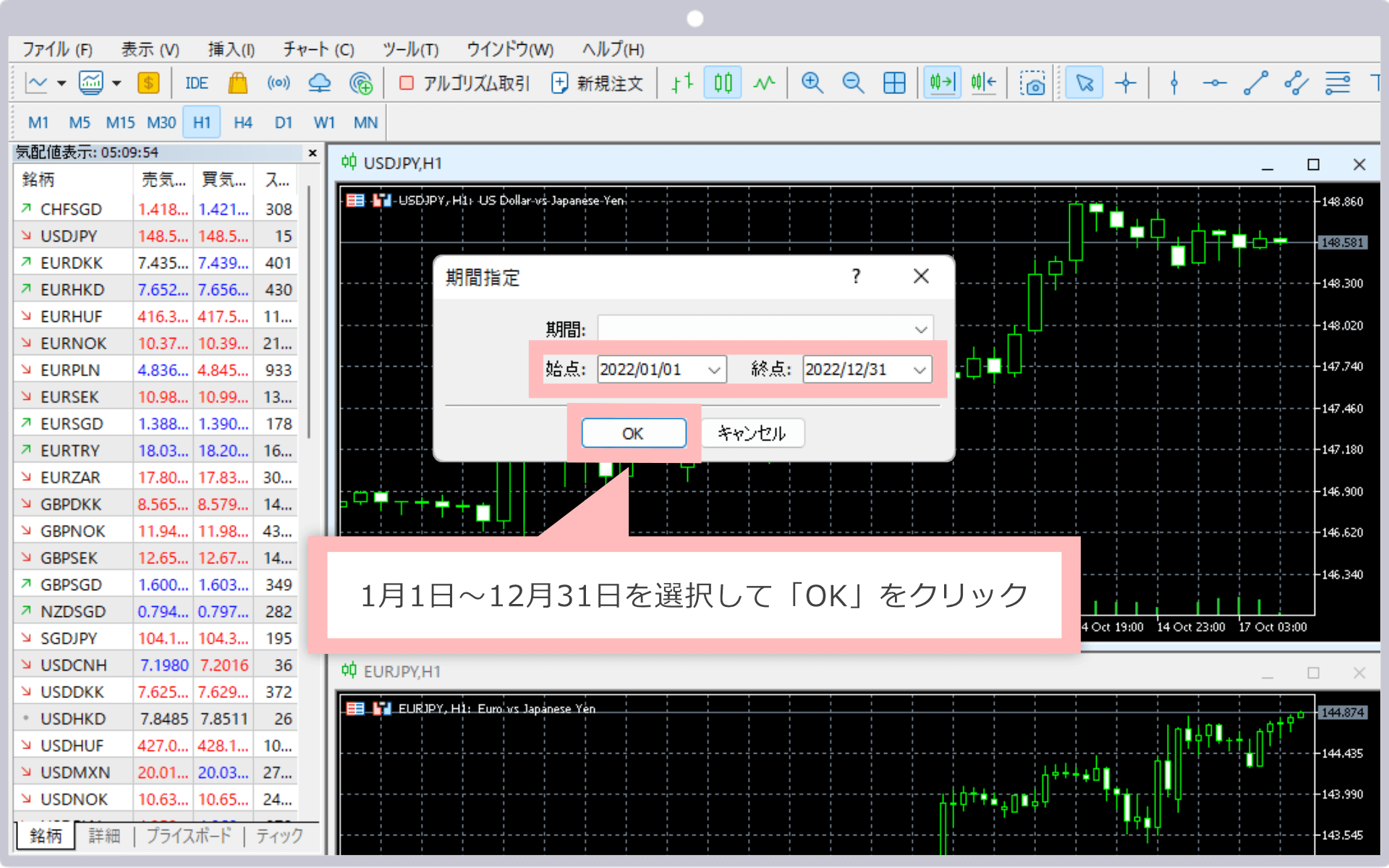 1月1日～12月31日を選択して「OK」をクリック